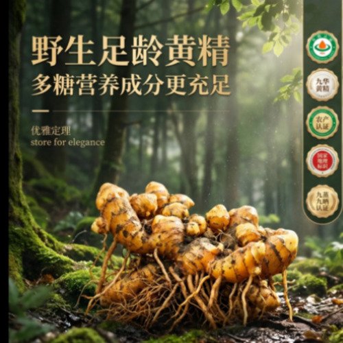 AI数字艺术与绘本展位